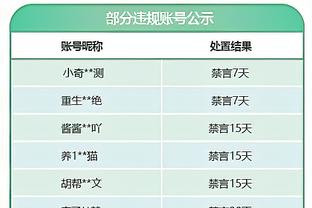 你都认识吗？04年欧洲杯的“郁金香”荷兰，你还有多少印象？